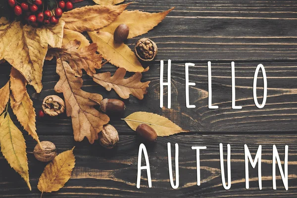 Hello Autumn Text. Hello Fall sign on bright colorful autumn leaves with acorns and nuts on rustic wooden table, flat lay. Fall image. Greeting card mock-up. Atmospheric image