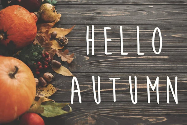 Hola Autumn Text Hola Cartel Otoño Calabaza Verduras Otoño Con — Foto de Stock