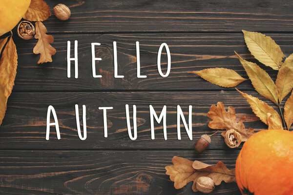 Хелло Отаменди. Hello Fall sign on Pumpkin, autumn vegetables with colorful leaves, acorns, nuts on wooden rustic table, flat lay. Открытки на сезон. Атмосферное изображение

