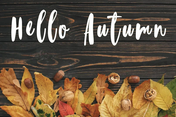 こんにちは秋のテキスト 明るいカラフルな秋秋サインオン素朴な木製のテーブル フラット レイアウトにドングリやナッツをこんにちは残します 秋のイメージ グリーティング カードのモックアップ 大気のイメージ — ストック写真