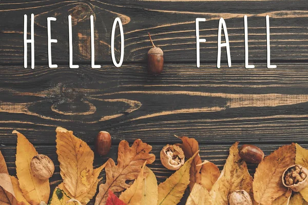 Hello Fall Знак Hello Autumn Ярко Окрашенных Осенних Листьях Желудями — стоковое фото