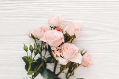 Küçük pembe gül ahşap arka plan, düz metin için yer yatırın. Çiçek tebrik kartı mockup. Düğün davetiyesi, mutlu anneler günü ya da Sevgililer günü kavramı. Merhaba bahar