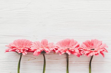 Sevgililer günü tebrik kartı ile pembe gerbera Beyaz ahşap arka planda, düz metin için yer yatırın. İhale çiçek tebrik kartı mockup. Düğün davetiyesi, mutlu anneler günü ya da Sevgililer günü kavramı.