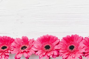 Pembe gerbera çiçekleri Beyaz ahşap arka planda, düz metin için yer yatırın. Parlak çiçek tebrik kartı mockup. Düğün davetiyesi, mutlu anne gün kavramı. Çiçek sınır