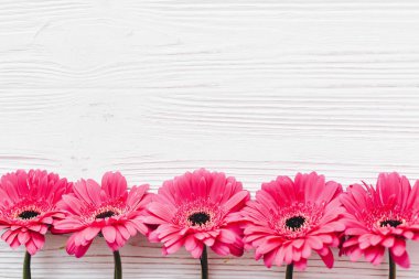 Pembe gerbera çiçekleri Beyaz ahşap arka planda, düz metin için yer yatırın. Parlak çiçek tebrik kartı mockup. Düğün davetiyesi, mutlu anne gün kavramı. Çiçek sınır