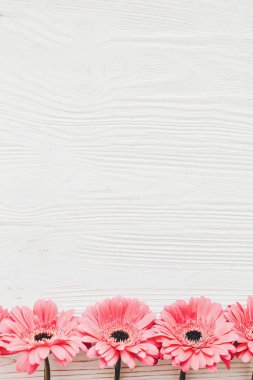 Pembe gerbera çiçekleri Beyaz ahşap arka planda, düz metin için yer yatırın. Parlak çiçek tebrik kartı mockup. Düğün davetiyesi, mutlu anneler günü ya da Sevgililer günü kavramı.
