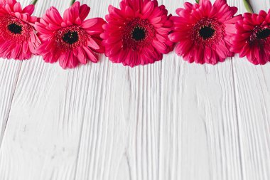 Kopya alanı beyaz ahşap zemin üzerine pembe gerbera ile parlak çiçek tebrik kartı