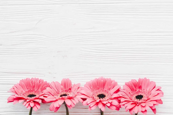 Růžová Gerbera Květy Bílém Pozadí Dřevěná Plochý Ležela Prostorem Pro — Stock fotografie