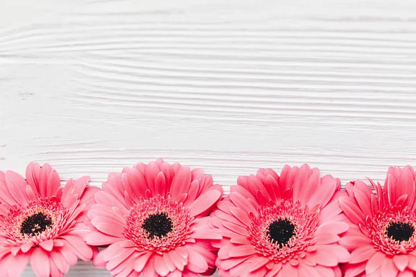 Gerbera Rózsaszín Virágok Fehér Háttér Lapos Feküdt Hely Szöveg Üdvözlőlap — Stock Fotó