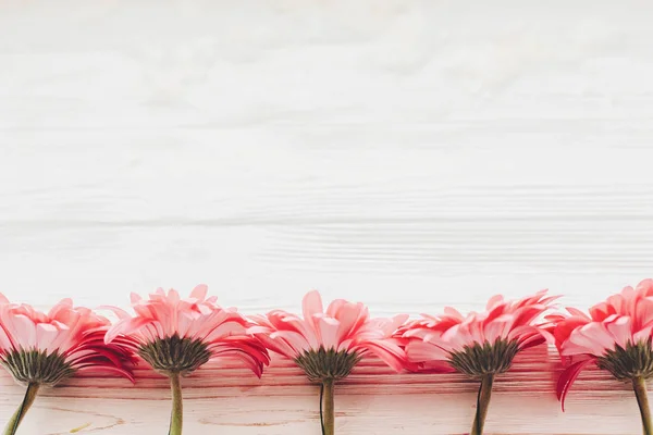 Pétalas Gerbera Rosa Sobre Fundo Madeira Branco Flat Lay Com — Fotografia de Stock