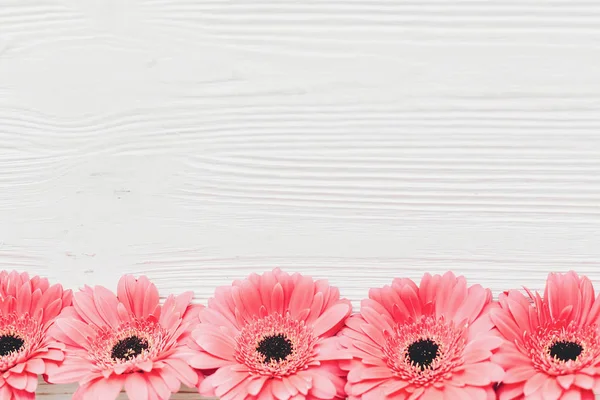 Růžová Gerbera Květy Bílém Pozadí Dřevěná Plochý Ležela Prostorem Pro — Stock fotografie