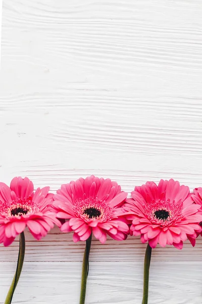 Gerbera Rózsaszín Virágok Fehér Háttér Lapos Feküdt Hely Szöveg Üdvözlőlap — Stock Fotó