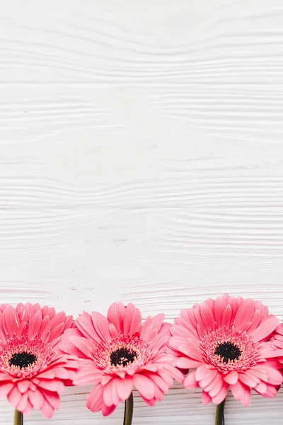粉红色的非洲菊花白色的木质背景 平躺在空间的文本 嫩花贺卡样机 婚礼请柬 母亲节快乐的概念 花卉边框 — 图库照片