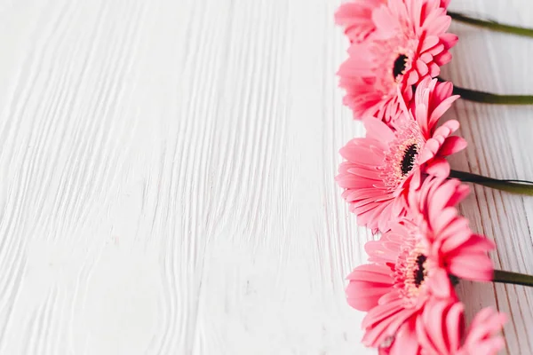 Világos Virágos Üdvözlés Kártya Val Rózsaszín Gerbera Fehér Háttér Hely — Stock Fotó