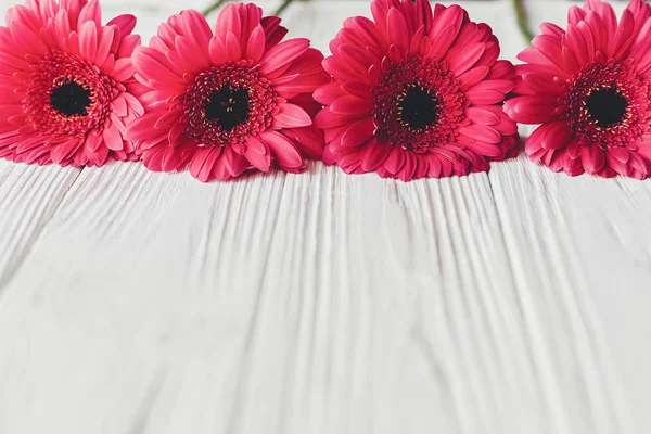 Világos Virágos Üdvözlés Kártya Val Rózsaszín Gerbera Fehér Háttér Hely — Stock Fotó