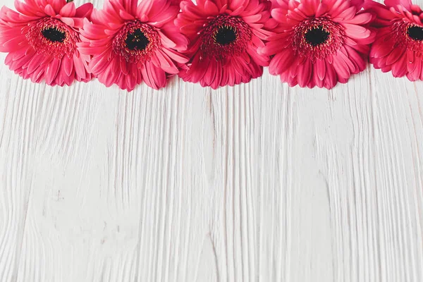Cartão Floral Brilhante Com Gerberas Rosa Sobre Fundo Madeira Branco — Fotografia de Stock