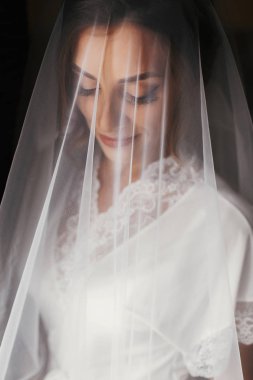 Yumuşak ışık penceresinde, poz peçe altında ipek elbise içinde muhteşem güzel gelin. Mükemmel makyaj gülümseyen mutlu şık gelin. Gelin sabah