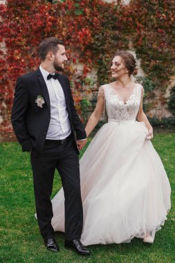 Muhteşem gelin ve el ele tutuşarak ve duvara sonbahar kırmızı yaprakları yürüyüş şık damat. Şehvetli düğün çifti kucaklayan. Yeni evliler romantik anlar. Düğün fotoğraf