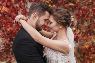 Gorgeous bride and stylish groom gently hugging and smiling at wall of autumn red leaves. Happy sensual wedding couple embracing. Romantic moments of newlywed clipart