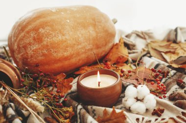 Güzel kabak, mum ışığı, sonbahar yaprakları, meyveler, fındık, meşe palamutları, pamuk, tarçın yumuşak battaniye arka plan üzerinde. Mevsim selam. Mutlu Şükran günü kavramı. Rahat sonbahar resim.