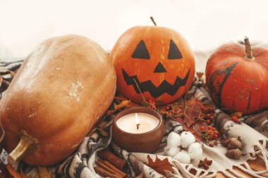 Mutlu Cadılar Bayramı kavramı. Kabaklar ve Jack-o-fener mum ışığı ile sonbahar yaprakları, meyveler, fındık, meşe palamutları rustik arka plan üzerinde. Mevsim selam. Metin için yer.