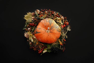 Sonbahar çelenk düz yatıyordu. Daire kabak güz yaprakları meyveler, fındık, meşe palamutları, çiçekler, otlar üzerinde siyah arka plan üstten görünüm ile. Mevsim selam. Metin için yer. Sonbahar mockup kartı