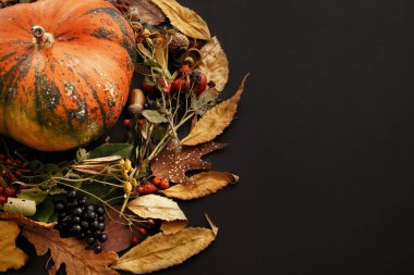 Kabak Güz çelengi, meyveler, fındık, meşe palamutları, çiçekler, otlar izole koyu arka plan üzerinde bırakır. Mevsim selam. Metin için yer. Mutlu Şükran günü kavramı