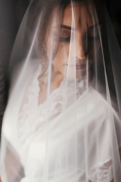 华丽的美丽的新娘在丝绸长袍下的面纱摆在窗口在柔和的光 快乐的时尚新娘与完美的妆面微笑 新婚之晨 — 图库照片