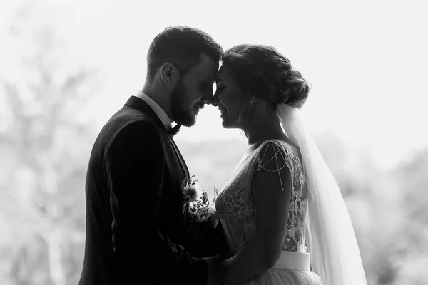 Gorgeous Bride Stylish Groom Silhouettes Window Light Sensual Wedding Couple — Stock Photo, Image