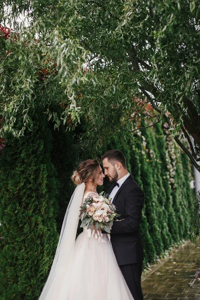 Gyönyörű Menyasszony Elegáns Vőlegény Gyengéden Átölelve Háttérben Zöld Fák Érzéki — Stock Fotó