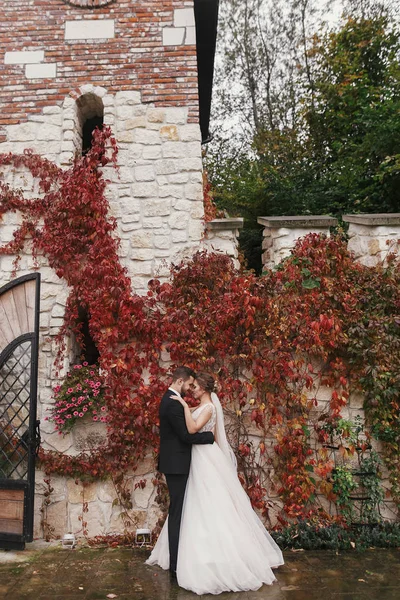 Gyönyörű Menyasszony Elegáns Vőlegény Gyengéden Átölelve Hoznak Mosolyogva Régi Fal — Stock Fotó