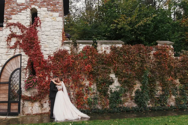 Magnifique Mariée Marié Élégant Embrassant Doucement Souriant Vieux Mur Feuilles — Photo