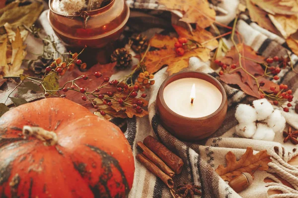 美丽的南瓜 蜡烛灯 肉桂在柔软的毯子背景 节日问候 舒适的秋季形象 感恩节快乐概念 — 图库照片