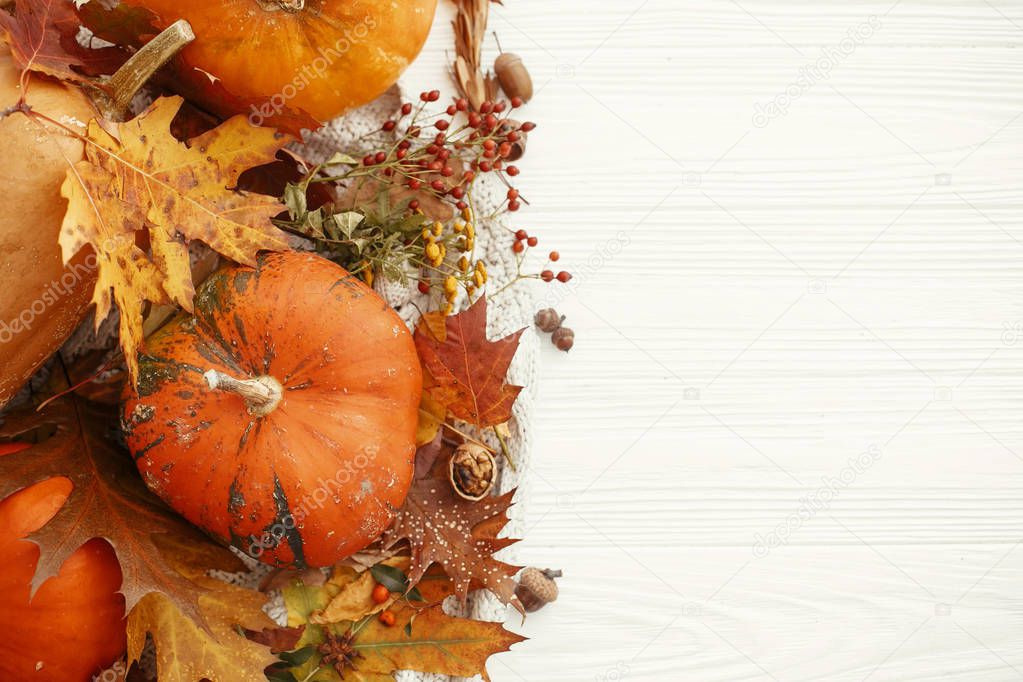 Autumn Flat Lay. Pumpkins and fall leaves,berries,nuts,acorns on sweater and rustic  white background top view. Seasons greetings. Space for text. Happy Thanksgiving.