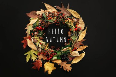 Merhaba sonbahar sonbahar çelenk düz metin yatıyordu. Sonbahar daire meyveler, fındık, meşe palamutları, çiçekler, otlar siyah arka plan üzerine bırakır. Yaratıcı kompozisyon. Mevsim tebrik kartı.