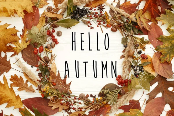 Hello Autumn text on autumn wreath flat lay. Fall leaves in circle with berries,nuts,acorns,flowers,herbs on  white background. Seasons greetings card.