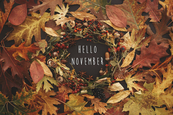 Хелло ноябрьский текст на осеннем венке лежал. Осенью листья круга с ягодами, орехами, желуди, цветы, травы на черном фоне. Осенняя композиция. Поздравительная открытка
.