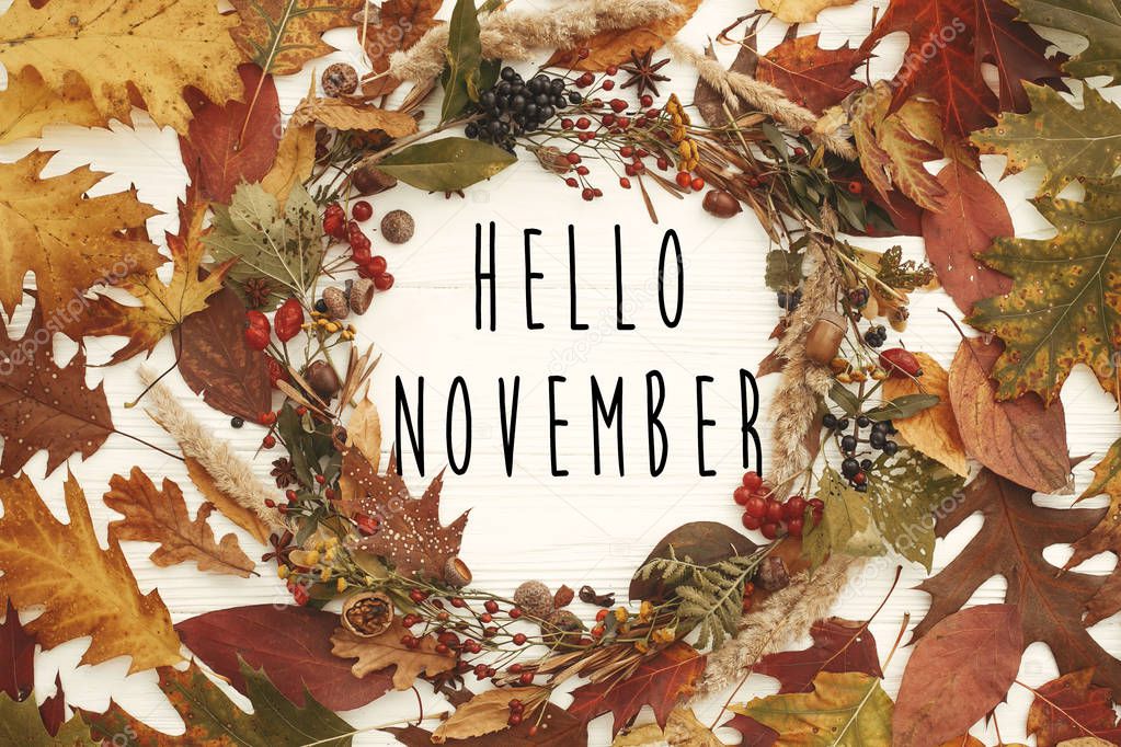 Hello November text on autumn wreath flat lay. Fall leaves in circle with berries, nuts, acorns, flowers,herbs on white background. Autumn composition. Seasons greetings card