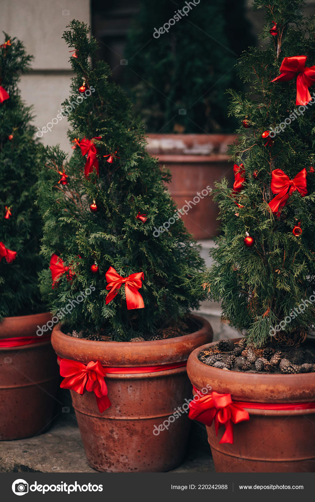 Stylish Christmas Decorations Green Christmas Trees Red Ornaments Stock Photo by ©Sonyachny 220242988