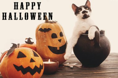 Mutlu Cadılar Bayramı kavramı. Balkabağı ve kedi oturma cadı kazanı, yarasalar, örümcek, mum, ahşap arka plan üzerinde sonbahar yaprakları