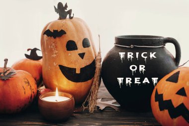 Mutlu Cadılar Bayramı kavramı. Kabaklar cadı kazanı, yarasalar, örümcek, mum ışığı ve ahşap arka plan üzerinde sonbahar yaprakları