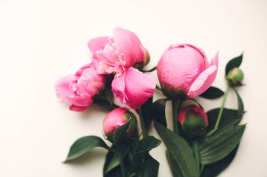 güzel pembe peonies rustik beyaz ahşap zemin üzerinde en iyi görünüm, metin için yer. çiçek tebrik kartı, düz yatıyordu. güzel şakayık çiçekleri desen, ihale görüntü. mutlu anneler günü kavramı