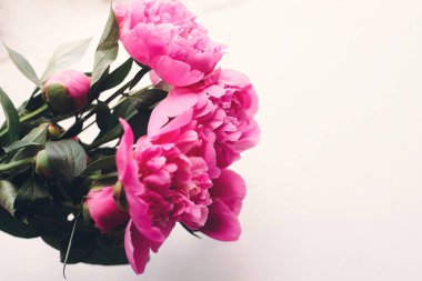 güzel pembe peonies rustik beyaz ahşap zemin üzerinde en iyi görünüm, metin için yer. çiçek tebrik kartı, düz yatıyordu. güzel şakayık çiçekleri desen, ihale görüntü. mutlu anneler günü kavramı