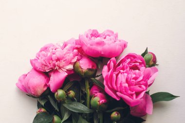 güzel pembe peonies rustik beyaz ahşap zemin üzerinde en iyi görünüm, metin için yer. çiçek tebrik kartı, düz yatıyordu. güzel şakayık çiçekleri desen, ihale görüntü. mutlu anneler günü kavramı