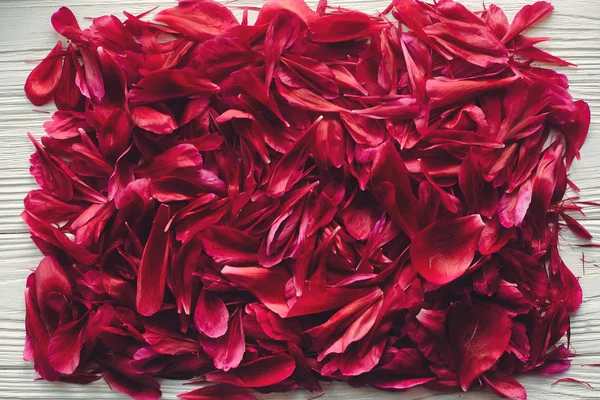 Çok Güzel Kırmızı Peonies Yaprakları Grup Rustik Beyaz Ahşap Arka — Stok fotoğraf