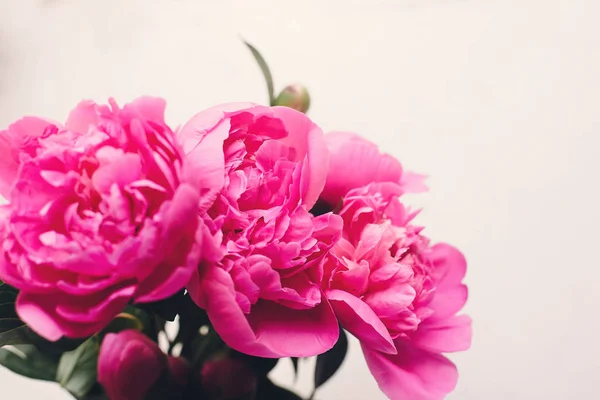 素朴な白い木製の背景に素敵なピンク牡丹平面図 テキスト用のスペースです 花のグリーティング カードのモックアップ 幸せな母の日の概念やバレンタインデー 美しい春の画像 — ストック写真