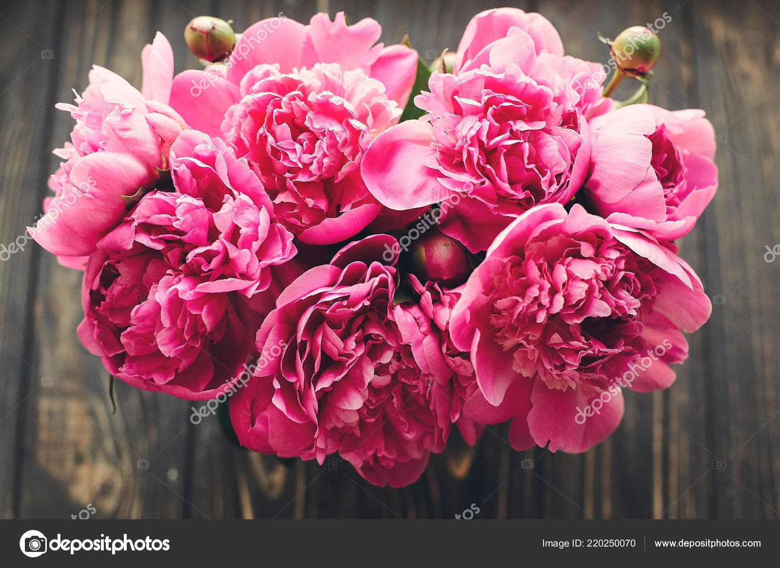 Bouquet Pivoines Roses Sur Fond Rustique Bois Fonce Vue Dessus Image Libre De Droit Par Sonyachny C