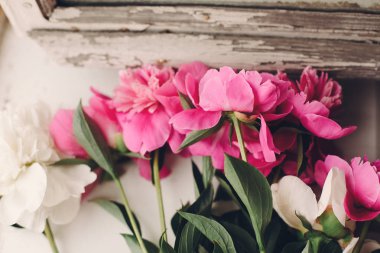rustik eski beyaz ahşap pencere ışık, metin için yer, güzel pembe peonies. üstten görünüm. çiçek tebrik kartı düz yatıyordu. mutlu anneler günü ya da Sevgililer. kırsal ülke görüntü.