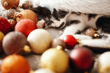 Festival odasında altın ve kırmızı Noel baubles ile Noel Baba şapkası yatakta uyuyan kedicik