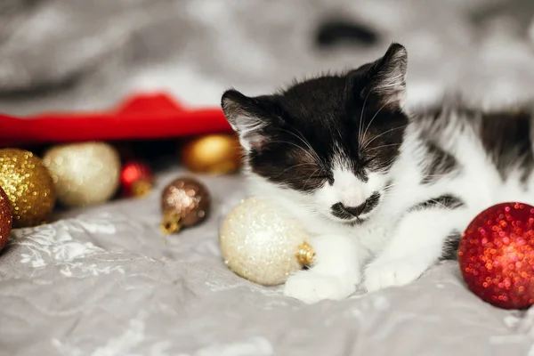 Pequeno Gato Dormindo Santa Chapéu Cama Com Ouro Baubles Natal — Fotografia de Stock